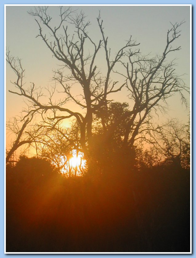 Sunset Hlane